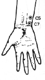 medo2.gif (7383 bytes)
